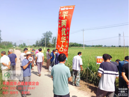 新興隆，新氣象，新未來(lái)—記滁州市平兩優(yōu)華占觀摩預(yù)訂會(huì)