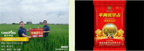 湖南興隆種業(yè)有限公司,長沙稻谷種植與銷售,長沙農(nóng)作物品種的選育,長沙農(nóng)業(yè)病蟲害防治服務(wù)