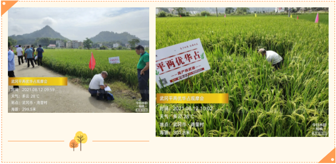 湖南興隆種業(yè)有限公司,長(zhǎng)沙稻谷種植與銷售,長(zhǎng)沙農(nóng)作物品種的選育,長(zhǎng)沙農(nóng)業(yè)病蟲害防治服務(wù)