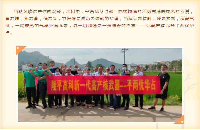 湖南興隆種業(yè)有限公司,長(zhǎng)沙稻谷種植與銷售,長(zhǎng)沙農(nóng)作物品種的選育,長(zhǎng)沙農(nóng)業(yè)病蟲害防治服務(wù)