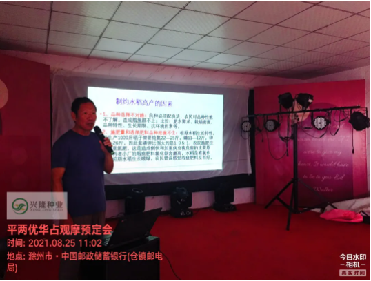 湖南興隆種業(yè)有限公司,長(zhǎng)沙稻谷種植與銷售,長(zhǎng)沙農(nóng)作物品種的選育,長(zhǎng)沙農(nóng)業(yè)病蟲害防治服務(wù)