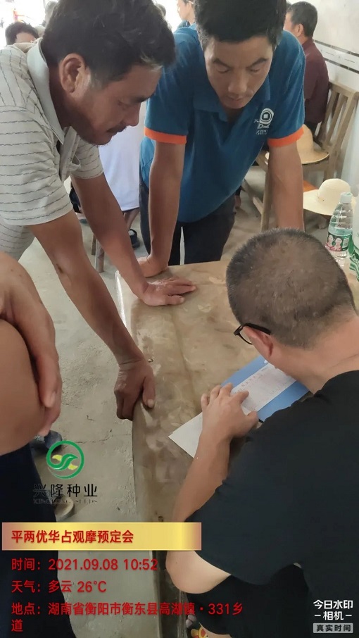 湖南興隆種業(yè)有限公司,長(zhǎng)沙稻谷種植與銷(xiāo)售,長(zhǎng)沙農(nóng)作物品種的選育,長(zhǎng)沙農(nóng)業(yè)病蟲(chóng)害防治服務(wù)