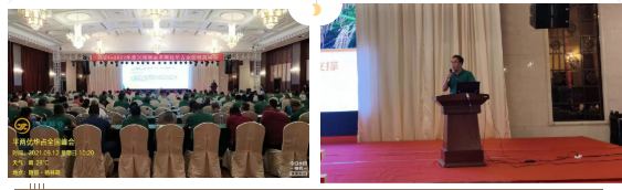 湖南興隆種業(yè)有限公司,長沙稻谷種植與銷售,長沙農(nóng)作物品種的選育,長沙農(nóng)業(yè)病蟲害防治服務(wù)