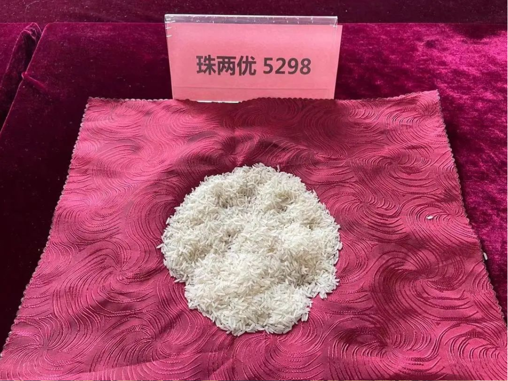 湖南興隆種業(yè)有限公司,長(zhǎng)沙稻谷種植與銷售,長(zhǎng)沙農(nóng)作物品種的選育,長(zhǎng)沙農(nóng)業(yè)病蟲害防治服務(wù)