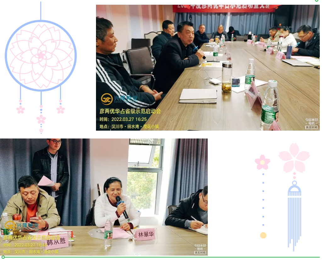 湖南興隆種業(yè)有限公司,長沙稻谷種植與銷售,長沙農(nóng)作物品種的選育,長沙農(nóng)業(yè)病蟲害防治服務