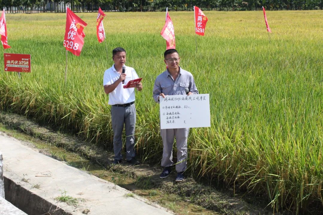 湖南興隆種業(yè)有限公司,長(zhǎng)沙稻谷種植與銷售,長(zhǎng)沙農(nóng)作物品種的選育,長(zhǎng)沙農(nóng)業(yè)病蟲害防治服務(wù) 湖南興隆種業(yè)有限公司,長(zhǎng)沙稻谷種植與銷售,長(zhǎng)沙農(nóng)作物品種的選育,長(zhǎng)沙農(nóng)業(yè)病蟲害防治服務(wù)