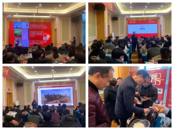 湖南興隆種業(yè)有限公司,長沙稻谷種植與銷售,長沙農(nóng)作物品種的選育,長沙農(nóng)業(yè)病蟲害防治服務(wù)