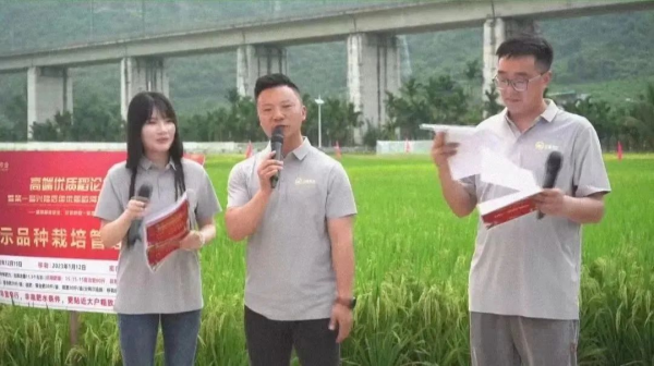 湖南興隆種業(yè)有限公司,長沙稻谷種植與銷售,長沙農(nóng)作物品種的選育,長沙農(nóng)業(yè)病蟲害防治服務