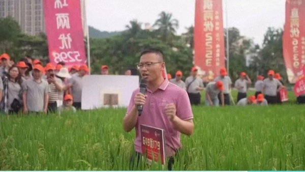 湖南興隆種業(yè)有限公司,長沙稻谷種植與銷售,長沙農(nóng)作物品種的選育,長沙農(nóng)業(yè)病蟲害防治服務