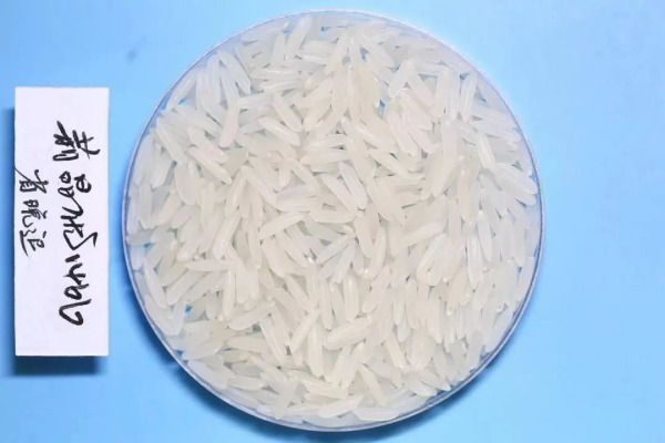 湖南興隆種業(yè)有限公司,長沙稻谷種植與銷售,長沙農(nóng)作物品種的選育,長沙農(nóng)業(yè)病蟲害防治服務