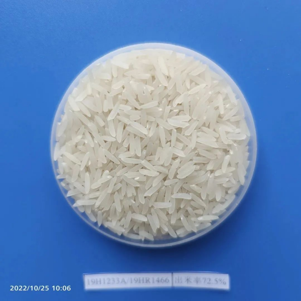 湖南興隆種業(yè)有限公司,長沙稻谷種植與銷售,長沙農(nóng)作物品種的選育,長沙農(nóng)業(yè)病蟲害防治服務