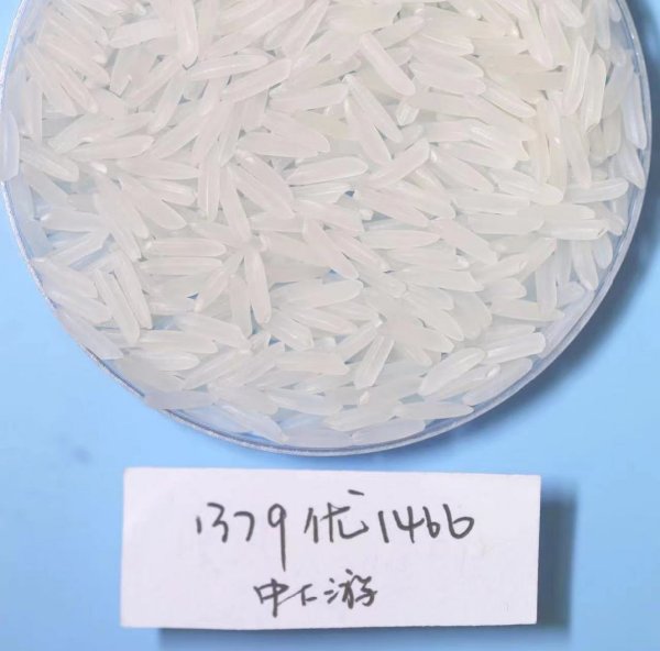 湖南興隆種業(yè)有限公司,長沙稻谷種植與銷售,長沙農(nóng)作物品種的選育,長沙農(nóng)業(yè)病蟲害防治服務