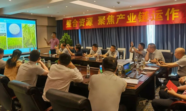 湖南興隆種業(yè)有限公司,長沙稻谷種植與銷售,長沙農(nóng)作物品種的選育,長沙農(nóng)業(yè)病蟲害防治服務