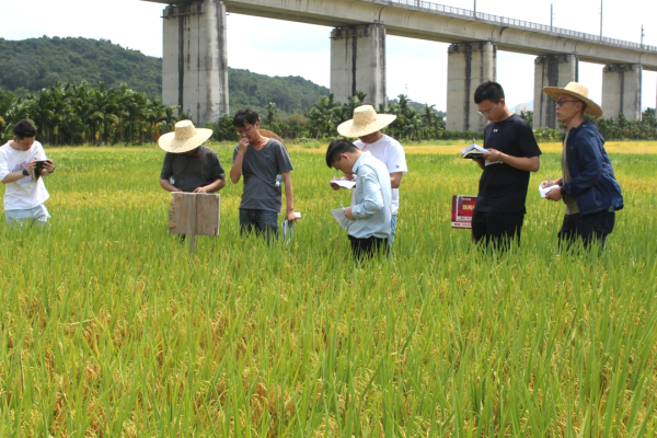 湖南興隆種業(yè)有限公司,長沙稻谷種植與銷售,長沙農(nóng)作物品種的選育,長沙農(nóng)業(yè)病蟲害防治服務(wù) 湖南興隆種業(yè)有限公司,長沙稻谷種植與銷售,長沙農(nóng)作物品種的選育,長沙農(nóng)業(yè)病蟲害防治服務(wù)