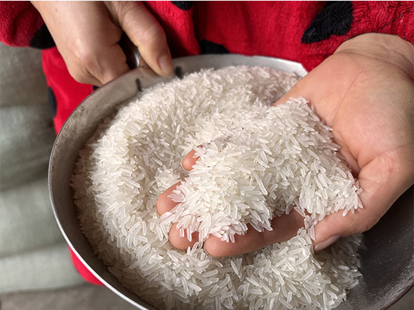 湖南興隆種業(yè)有限公司,長沙稻谷種植與銷售,長沙農(nóng)作物品種的選育,長沙農(nóng)業(yè)病蟲害防治服務(wù)