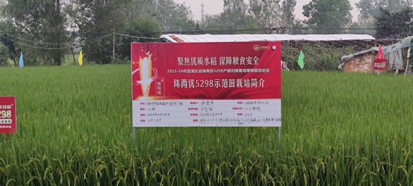 湖南興隆種業(yè)有限公司,長沙稻谷種植與銷售,長沙農(nóng)作物品種的選育,長沙農(nóng)業(yè)病蟲害防治服務