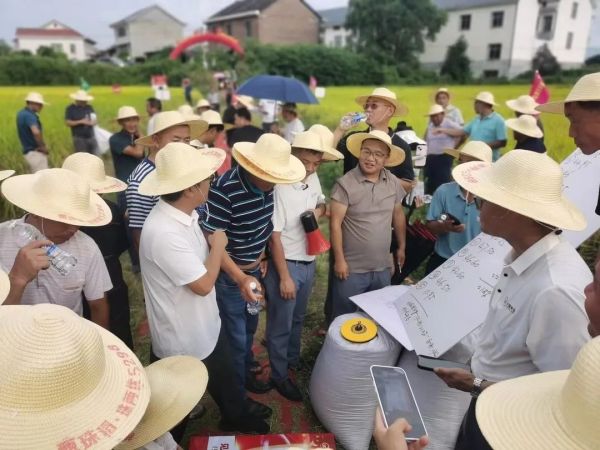 湖南興隆種業(yè)有限公司,長沙稻谷種植與銷售,長沙農作物品種的選育,長沙農業(yè)病蟲害防治服務