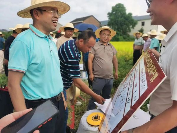 湖南興隆種業(yè)有限公司,長沙稻谷種植與銷售,長沙農作物品種的選育,長沙農業(yè)病蟲害防治服務