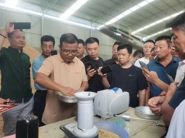 湖南興隆種業(yè)有限公司,長沙稻谷種植與銷售,長沙農作物品種的選育,長沙農業(yè)病蟲害防治服務