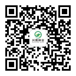 湖南興隆種業(yè)有限公司,長(zhǎng)沙稻谷種植與銷(xiāo)售,長(zhǎng)沙農(nóng)作物品種的選育,長(zhǎng)沙農(nóng)業(yè)病蟲(chóng)害防治服務(wù)